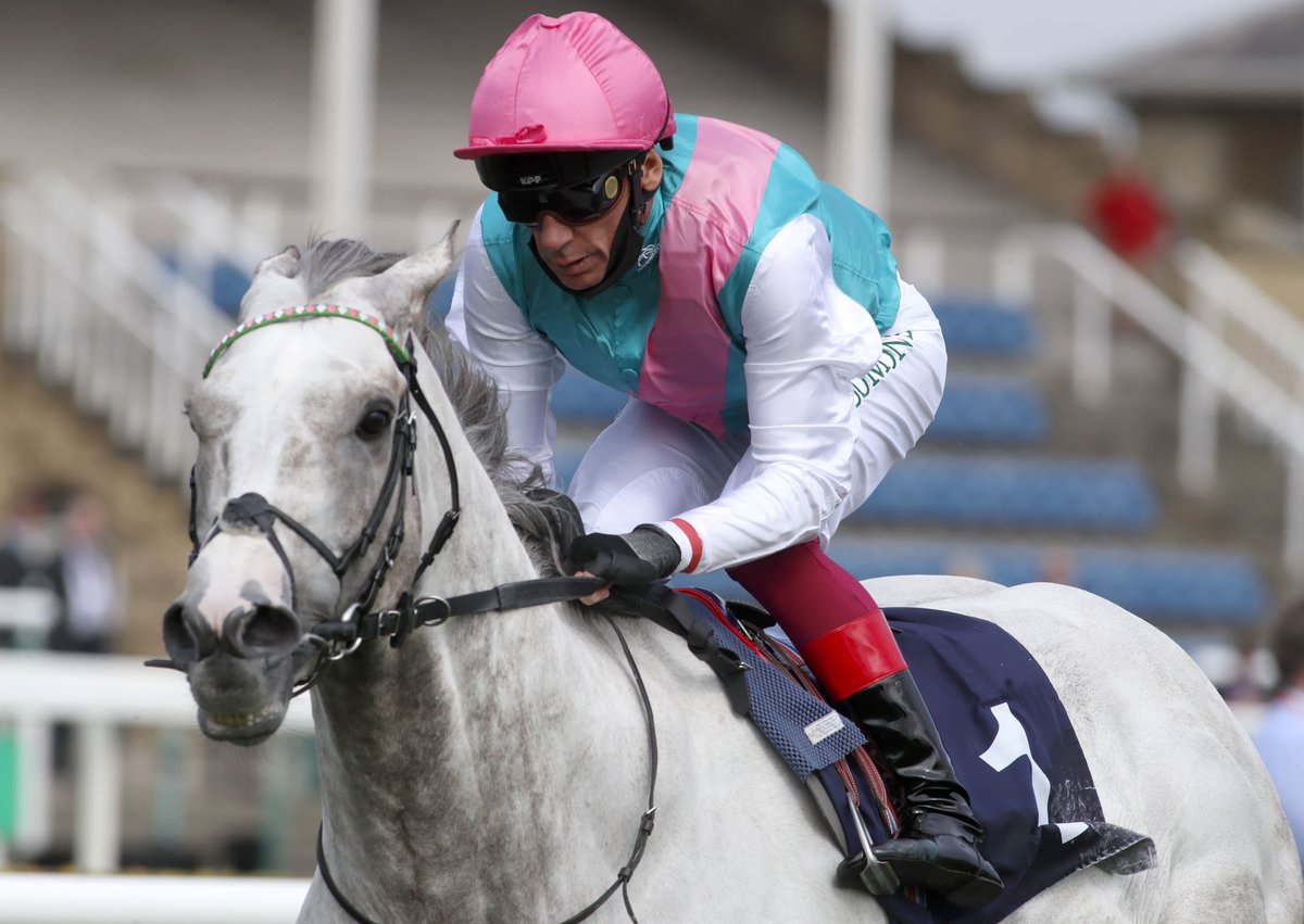 HorseRacing.net tweet media