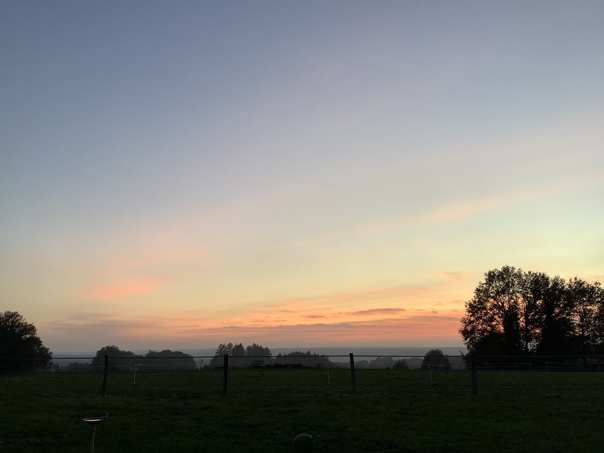 ytjepoppinga's tweet photo. Oeps, schrikken, roodborstje tegen de ruit.. ze had even nodig bij te komen. Pa kwam meteen. Bleef bij haar tot ze weer bij positieven was. We hadden al een doosje klaarstaan, niet nodig gelukkig! Dus ook op deze ruit strepen aanbrengen met de #birdpen @vogelnieuws https://t.co/fHvJL66Hgz