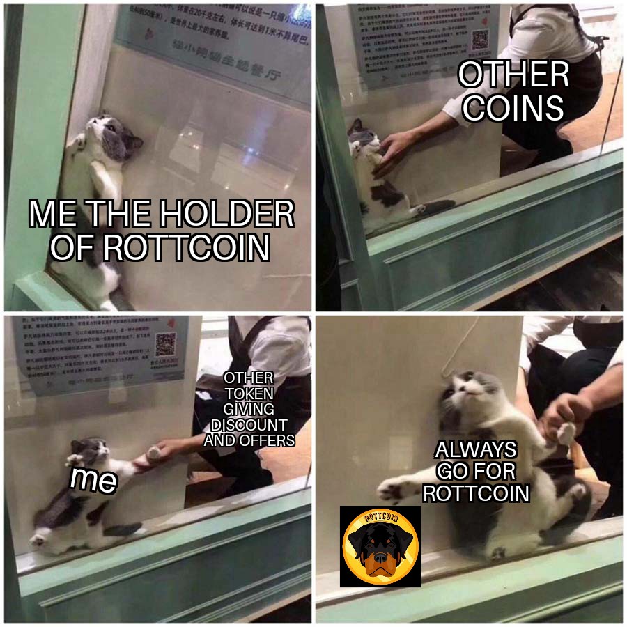 Tajria7's tweet photo. #Rottcoin #Rottchain, #NFT #MEMECONTEST #RottcoinMEME
@SumitSi60037828 @Shashikalamaury @Gautam75612308
What is Rottcoin?
A decentralised meme coin based on the Rottweiler breed with host of with host of utilities & ecosystem. NFT Marketplace, Staking, DEX, Wallet, Blockchain. https://t.co/9Tg1uf7QhY