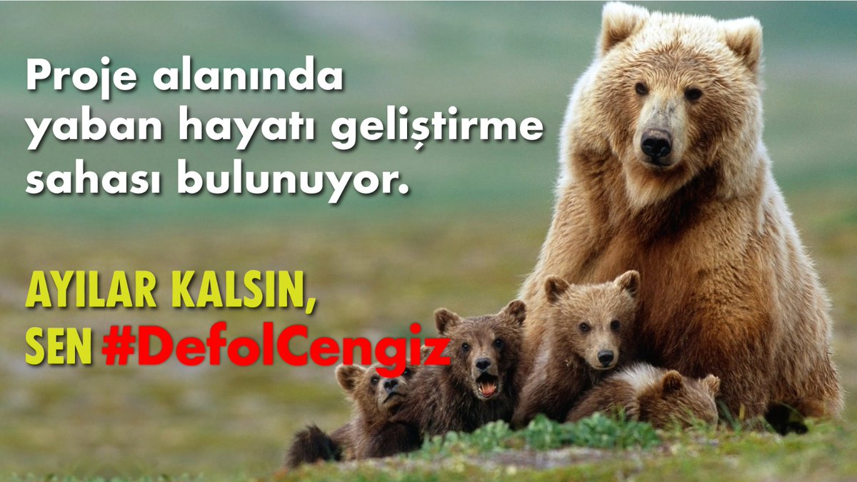 Yol yakınken 
#DefolCengiz
<a href="/ekolojihareketi/">Mezopotamya Ekoloji Hareketi</a> <a href="/EkolojiR/">Ekoloji Radarı</a> @HDPekoloji <a href="/HewselP/">Hewsel Koruma Platformu</a> <a href="/cudiekoloji/">Cudi Ekoloji-Kültür</a> <a href="/Ekolojidernek/">Ekoloji Derneği</a> <a href="/PolenEkoloji/">POLEN Ekoloji Kolektifi</a> <a href="/HdkEkoloji/">HDK Ekoloji Meclisi</a> <a href="/kazdaglariist/">Kazdağları İstanbul Dayanışması</a> <a href="/Ebkadinmeclisi/">Ekoloji Birliği Kadın Meclisi</a> <a href="/validebagdiren/">Validebağ Direnişi</a> <a href="/umutsenekoloji/">Umut-Sen Ekoloji Kolektifi</a> <a href="/kazdagikoruma/">KazDağı Koruma</a>