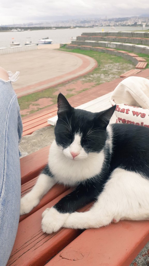 Bugün bana eşlik eden güzellik (biraz ısırdı ama olsun 😹)