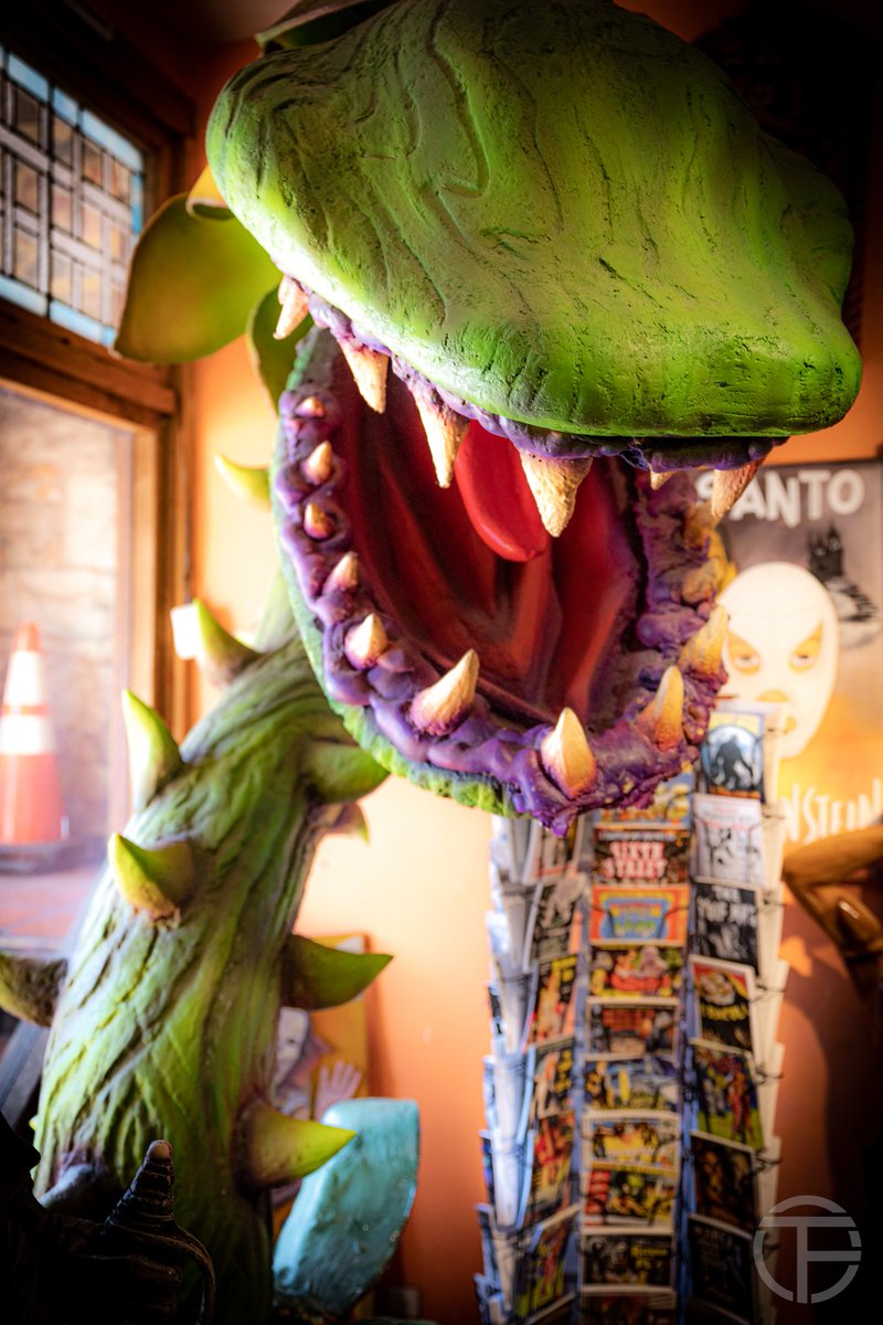 Don't forget, the launch night for Little Shop of Horrors is tomorrow, Thursday 13th October at the Market Tower! The meeting will start at 19:30. Everyone is welcome whether a member or not, so come on down!