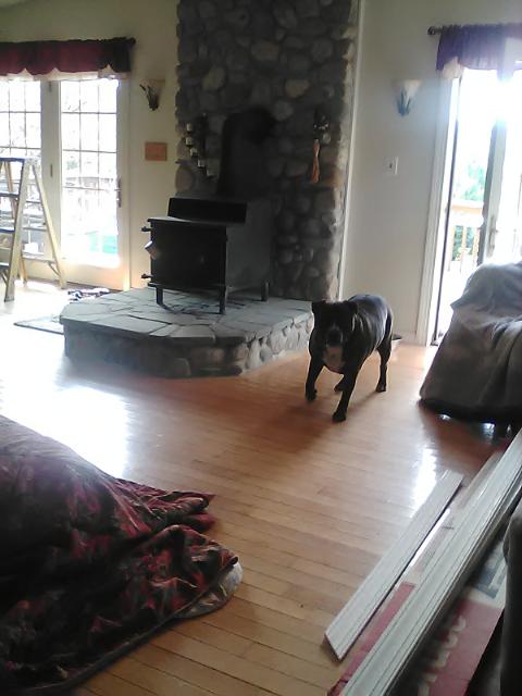 maxx coming in the house just finished the stone on woodstove hearth maxx naps right up on hearth when woodstove is on he loves the heat