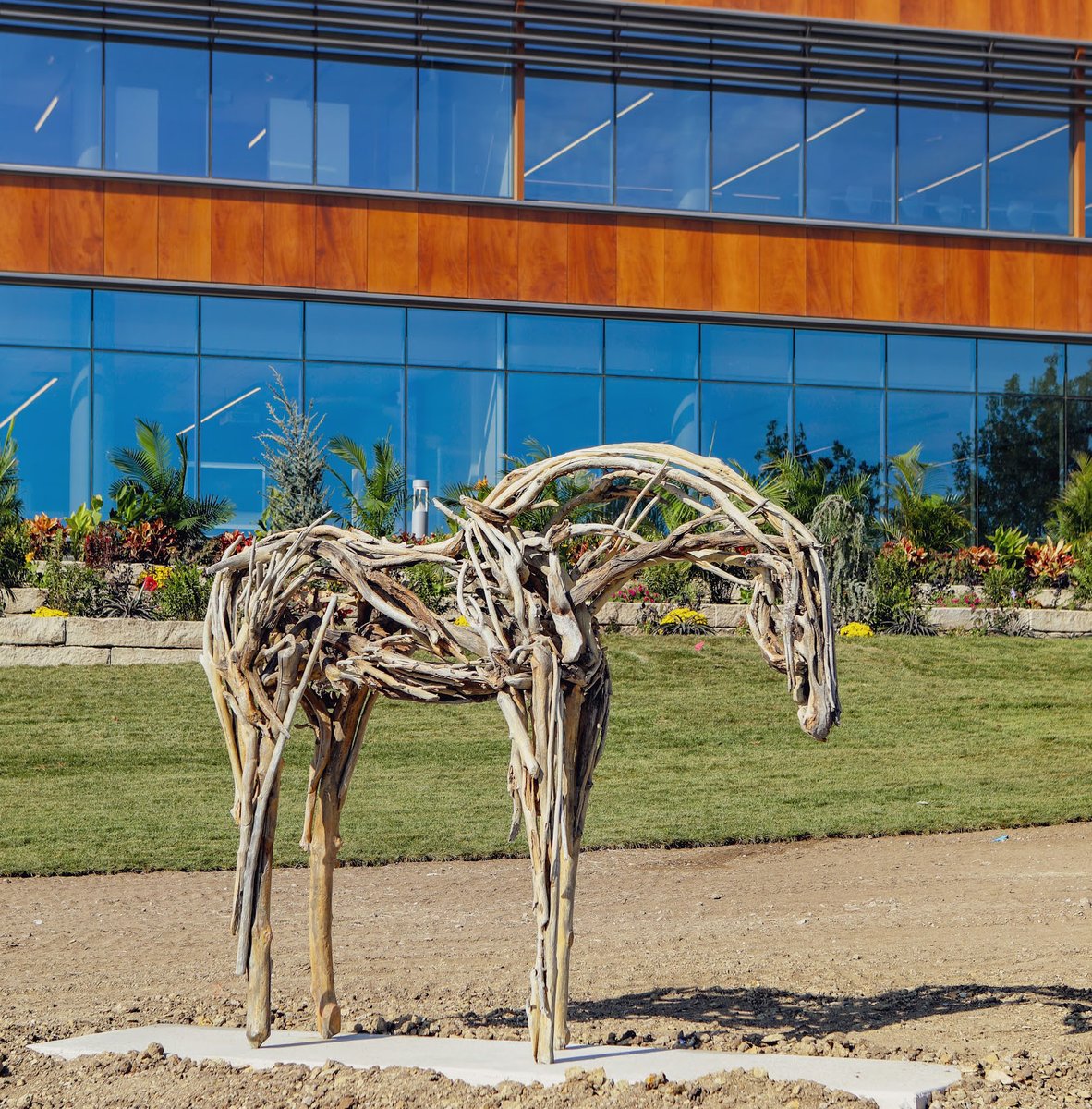 LUMEN is settling into her new home! Join us for a discussion with the world-renowned sculptor this Thursday!! DEBORAH BUTTERFIELD: A LIFETIME OF HORSES, 6 p.m., Thursday, Oct. 13 at WSU's Woolsey Hall!! @wichitastate