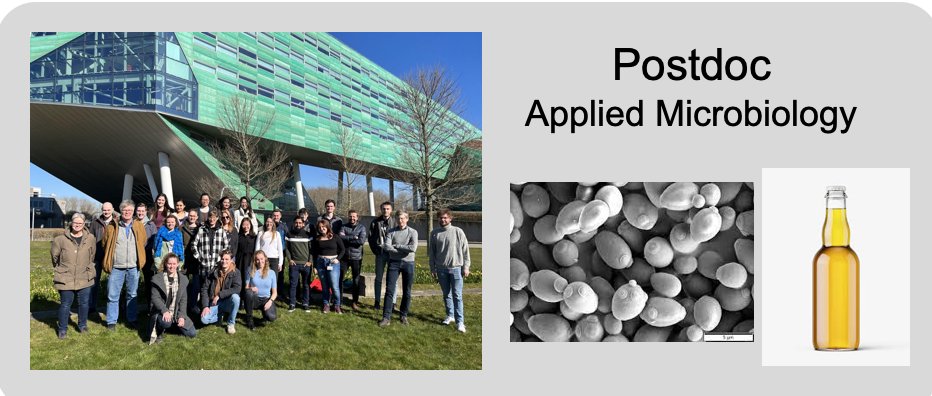 Sonja Billerbeck tweet media