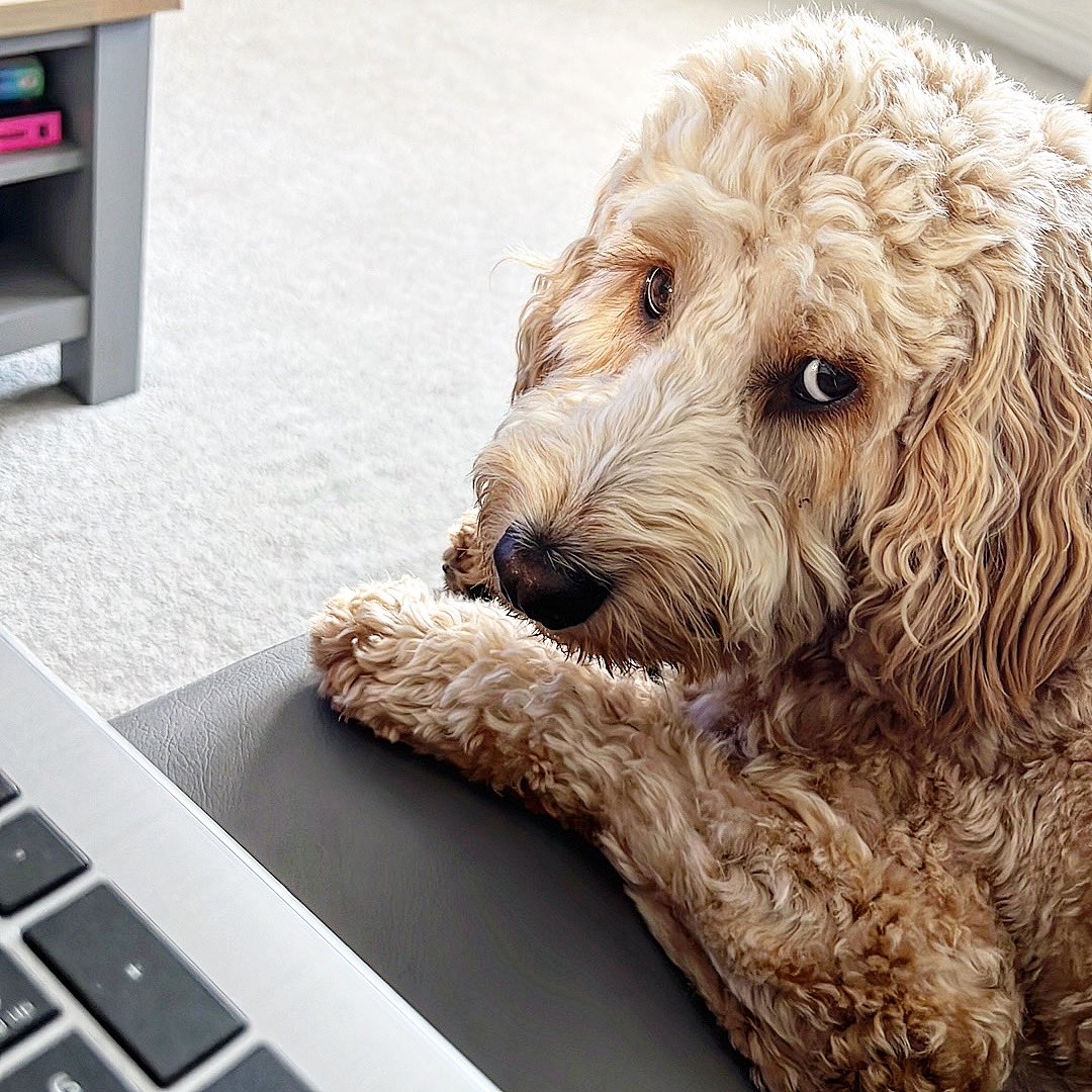 Tony Wilson tweet media