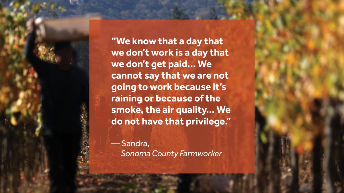 During fire season, dangerous smoke + extreme heat mean #SonomaCounty farmworkers face an impossible trade off: sacrifice their health or their paycheck. Our research shows the devastating effects of #ClimateCrisis on workers' safety + health: humanimpact.org/frontlinefarmw…