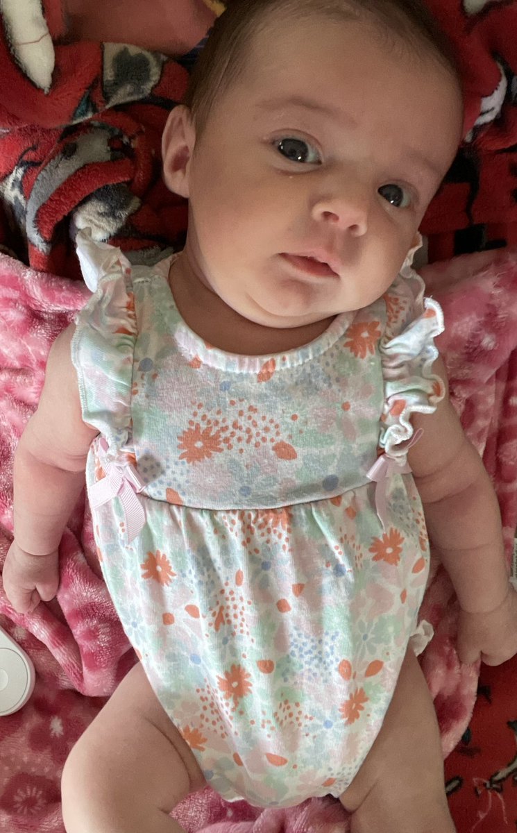 Sara Cornett (@mrssaracornett) on Twitter photo So Adria, what would you like to do for your second week of life?
“Idk look cute I guess?”#lazynoplans So Adria, what would you like to do for your second week of life?
“Idk look cute I guess?”#lazynoplans