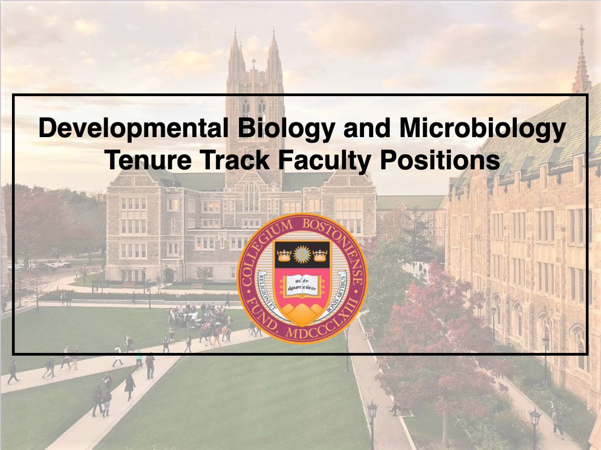 We have TWO open rank TT searches in our department! 
BC Biology is a world-class place to build your research and engage students.
Dev Bio: apply.interfolio.com/114124
Micro: apply.interfolio.com/114146
#BlackandSTEM #NativeinSTEM #NativeScience #LatinXinSTEM #MarginSci #DiversityinSTEM