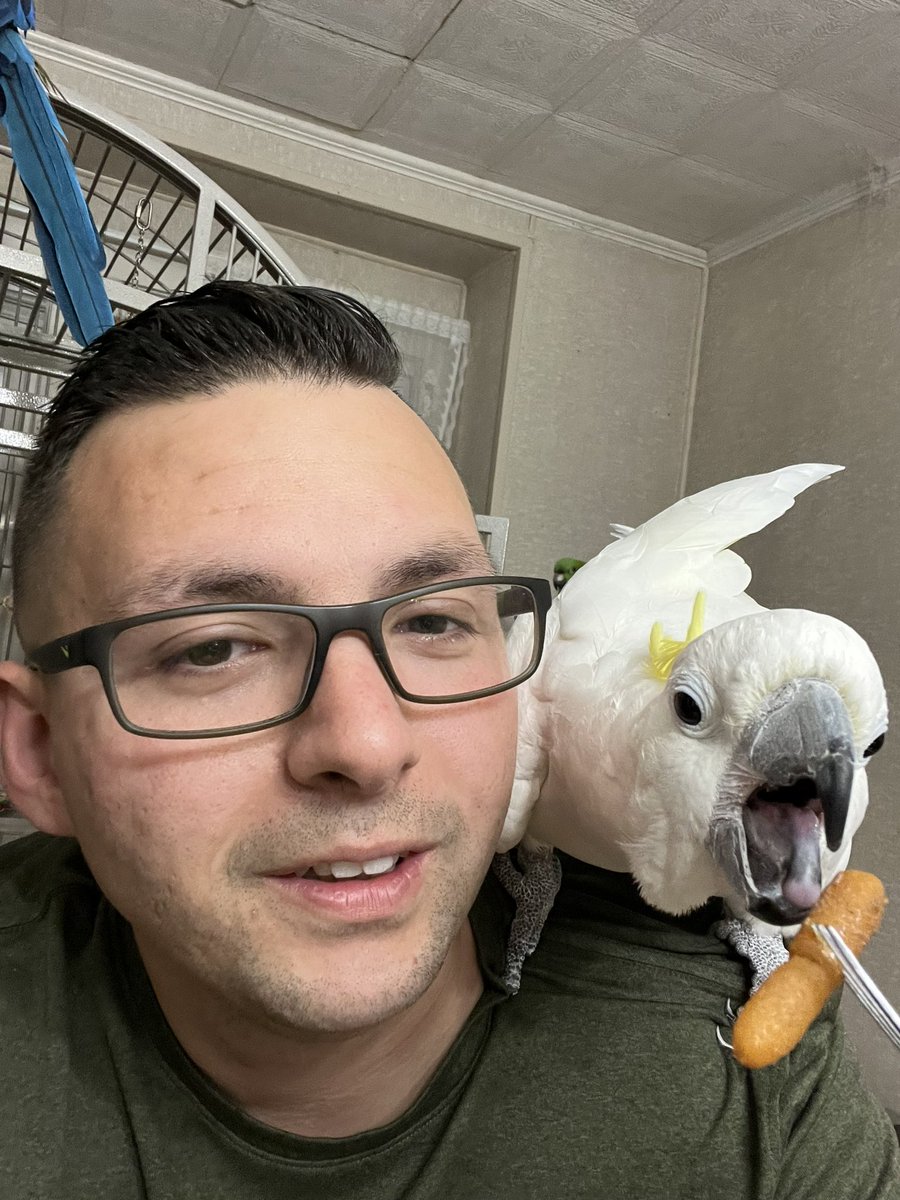 This bird just literally stole my carrot.