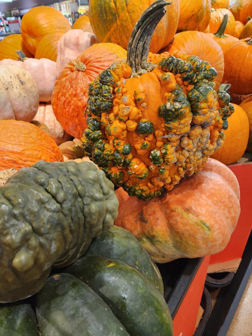 Weird pumpkins... Just in time for Halloween AND a GIANT hint about my next book... da da da dum... @BOOKGUILDDC