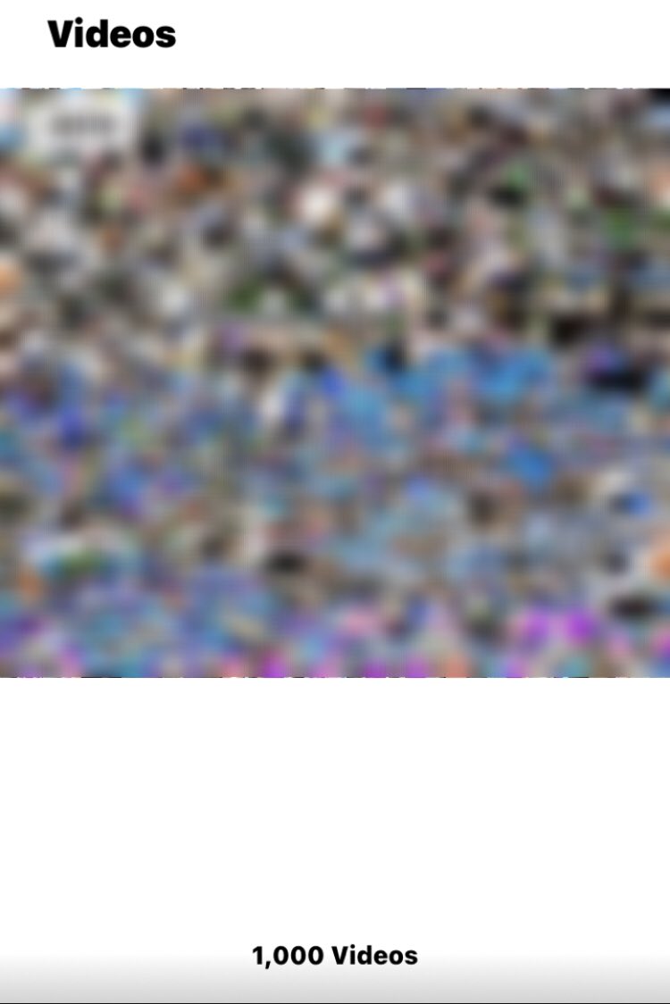 LagunaPhoenix12's tweet photo. Wooo in my Camera Roll I've reached 1,000 videos 🥳 (65% of it is fall guys) https://t.co/0nacXsnhjD