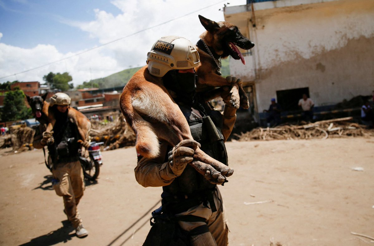 gurlinthewurld's tweet photo. Las Tejerias, Venezuela
Belgian shepherd dogs from the national service of medicine and forensic sciences during #rescue work after the area was hit by devastating #floods following heavy rain
Leonardo Fernández Viloria/Reuters #climate #animals https://t.co/Xc9fxo1y0T https://t.co/O48VTDhETW