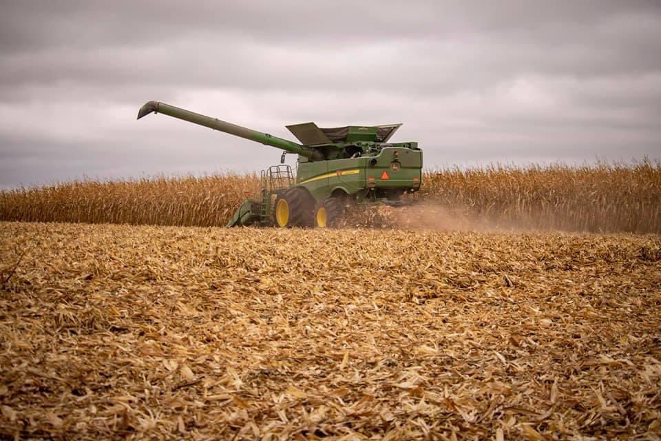 Lori Thomas tweet media