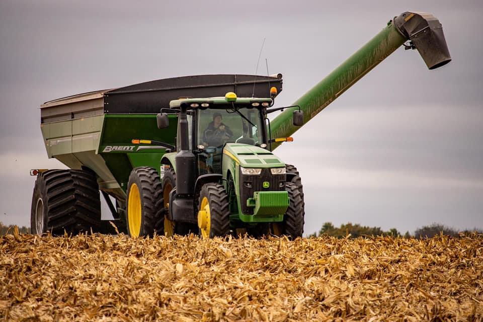 Lori Thomas tweet media