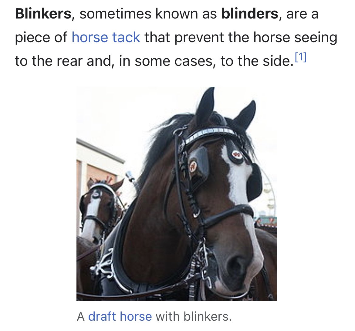 Blinkers (horse tack) - Wikipedia