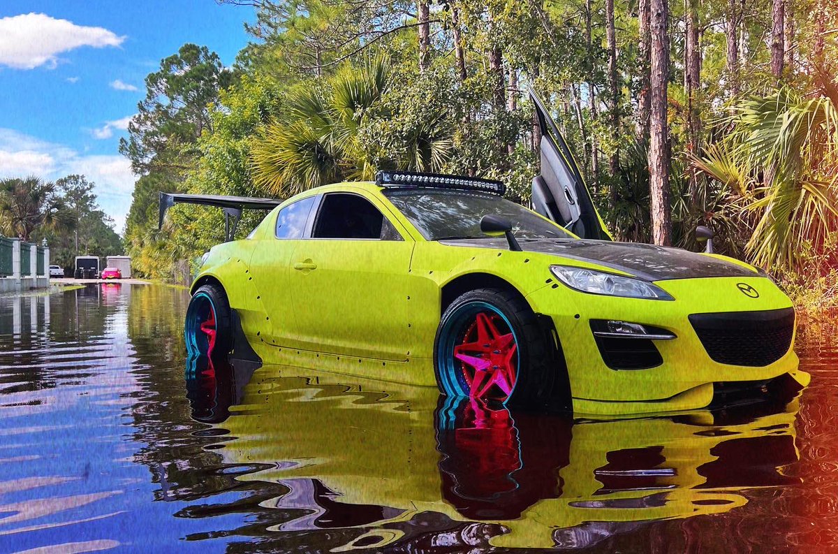Bagged &gt; static in the swamp