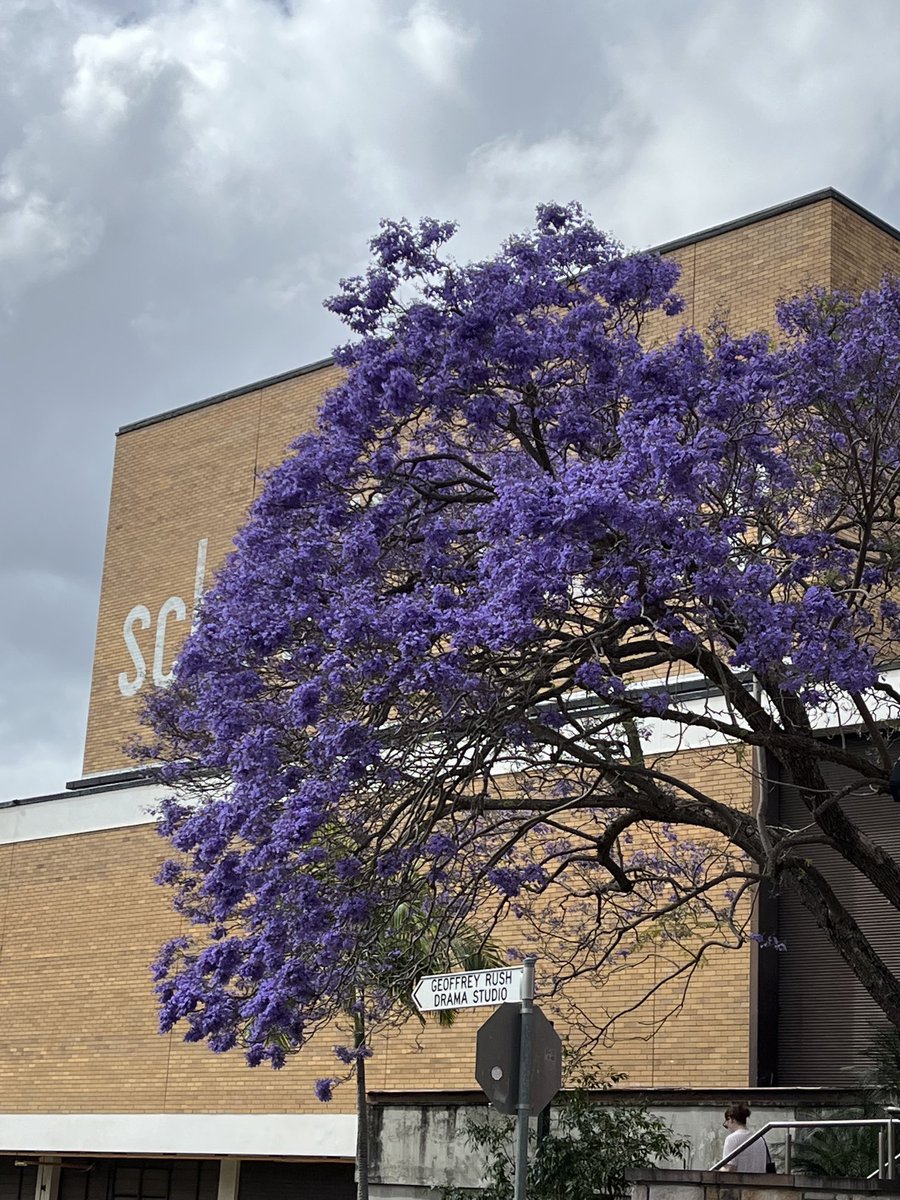 Marie Boden tweet media