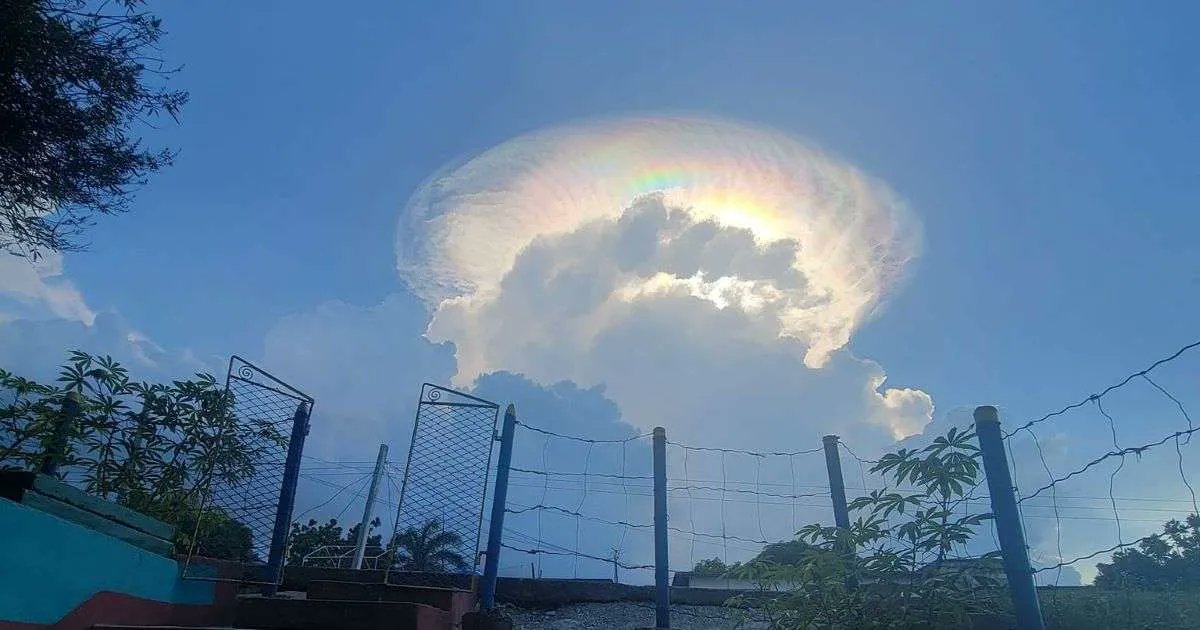 CiberCuba's tweet photo. Captan nube iridiscente cerca de Cayo Mambí en Holguín

Leer más: https://t.co/TDwGQkseQW #Cuba #CiberCuba https://t.co/vgwTdeueUD