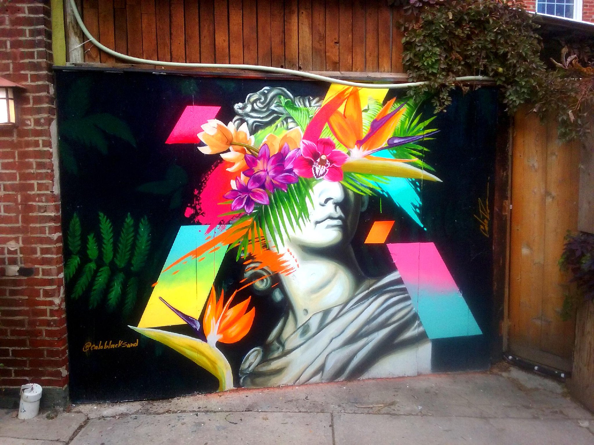 Silk Dharma on Twitter "Northern Liberties 2nd and Fairmount Title Rainbow venus philadelphia