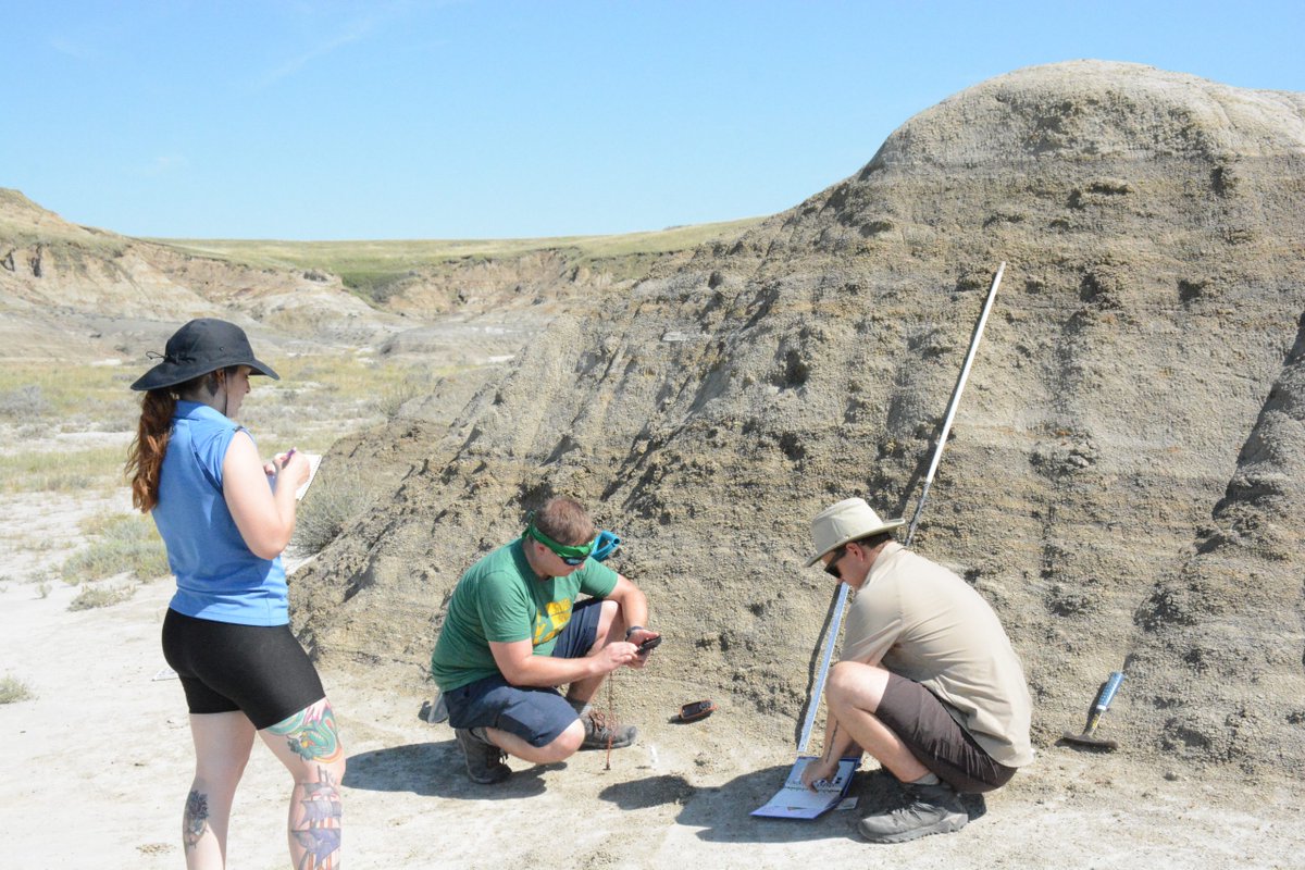 Archer Library tweet media