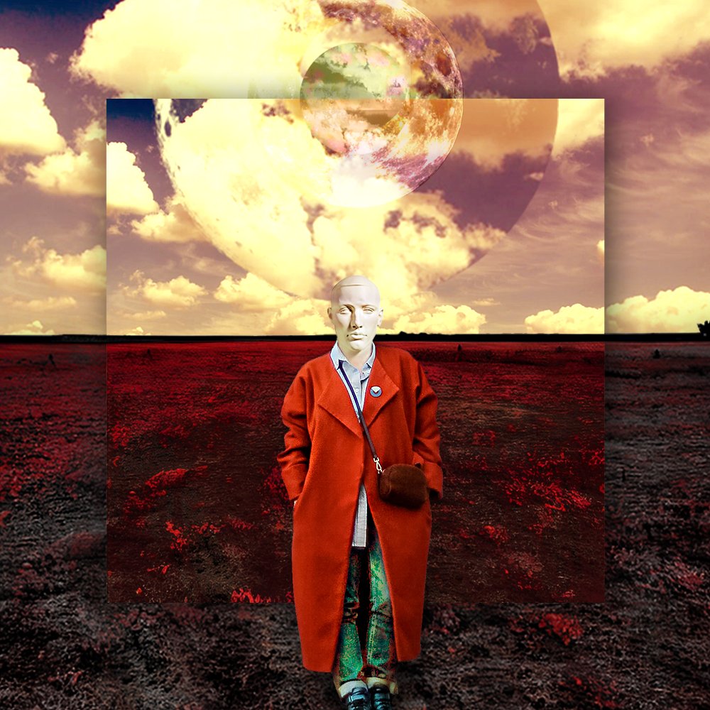 Wonder Stellabyte tweet media