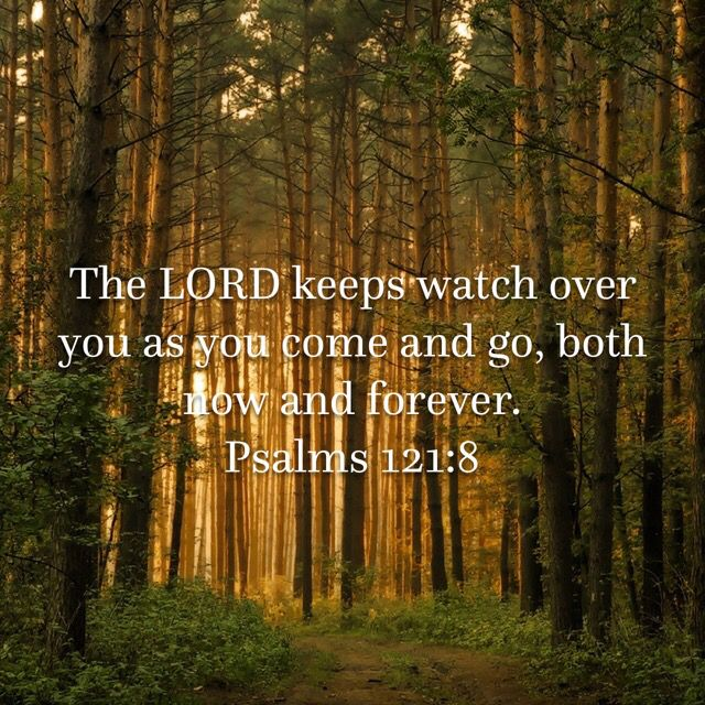 EllahieCooking's tweet photo. @GraceSamuel888 @emmanuelobi476 @Stewart7Donna @MimiLovesJesus5 @RosePagaduan2 @albert70x7 @pritchhunter @elliesangelwing @sickles_charlie @cordeliabattle @ElRoiShalom @hickoryhill8520 @HeartOfFaithMi3 @savebygrace71 @MildredOQuin1 @DallasClaude @ledrew @CLDALLAS3 @mimiloveletter @HisInspirations @BeachcatTt @RoseAmeli1 @ToddTrotter3 @DrV61524705 @DrRyte56 @Dr_Adiele @enriquillo2 @ArefMashaliUK @kphilley1 @WeAreinGodsPlan @Lampstanddesigz @jcwalker3usa @Jcrotty56 @elosisofficial @elviraamberg May The Good Lord bless each one of us and our families
Amen https://t.co/FzhN31FbcM
