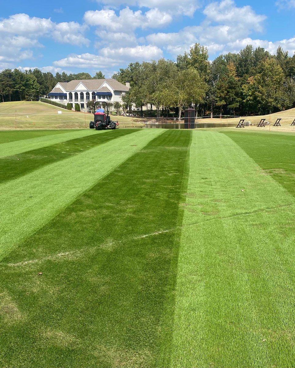 gcscook's tweet photo. Hello Fall 🤑🍁🤤
#stripeseason #alabamafall #alabamagolf https://t.co/KJheEQmBCq