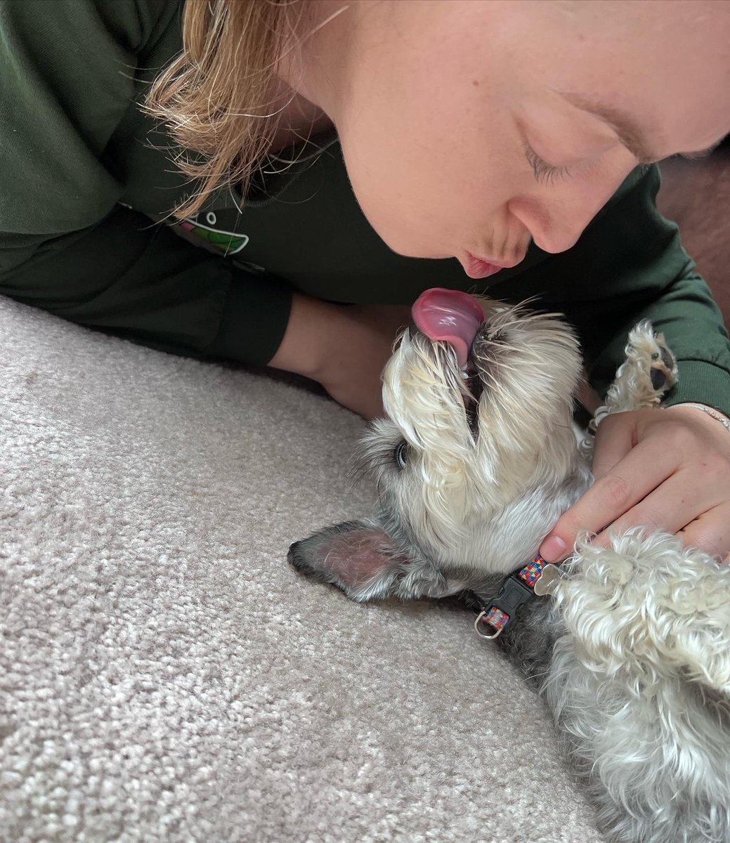 mrsbrayer's tweet photo. October 12, 2021 is Ada Lovelace Day AND the day our ADA was born! She is one today!

Hayley brought Ada a cake from Three Dog Bakery and came to visit today. Ada gave her kisses for thinking of her!

We’re so happy Ada came into our lives on December 18, 2021. We love her!

🍰1️⃣ https://t.co/5LLBQiOZ6w