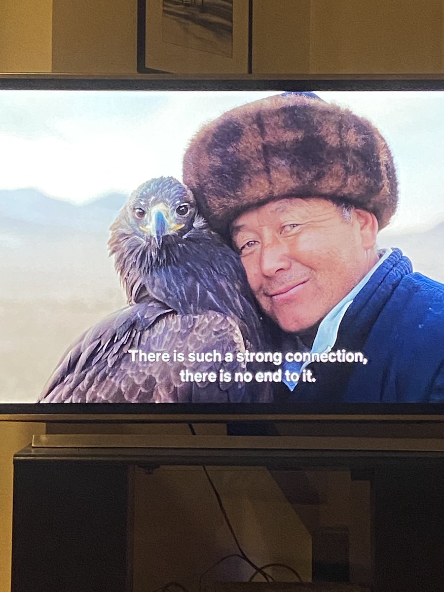 rodey_dr's tweet photo. Find the person in your life that looks at you like this man looks at his eagle #lifegoals #humanplayground #netflix https://t.co/AtFQf9IXJe