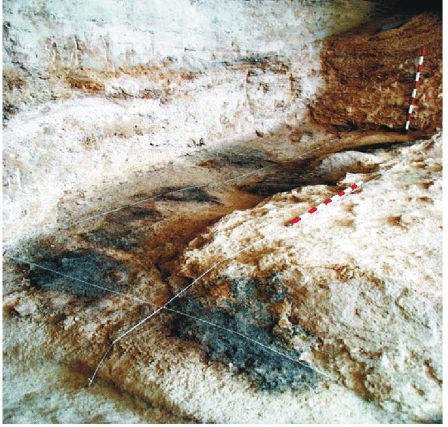 The Abric Romani is a Middle Palaeolithic site with an exceptionally preserved record. We are hiring a postdoc to work on spatial distribution of the hearths. ⬇️