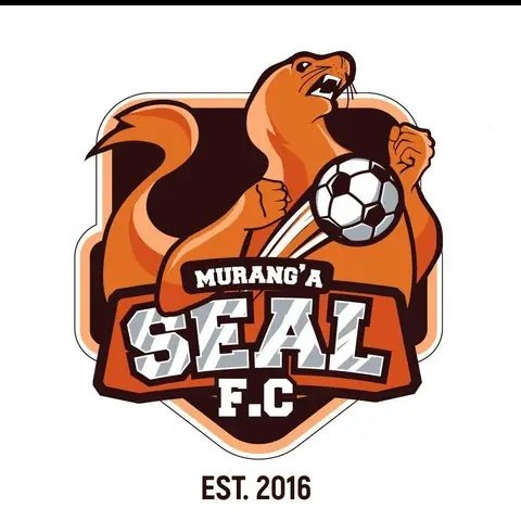 msealsfc's tweet photo. Every couple right now since the champions league is boring
#GGMS https://t.co/mSkBaKve1o
