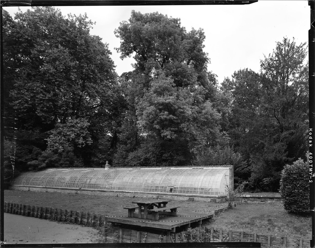 roelandhens's tweet photo. A sweet autumn 
#largeformat #4x5 #KODAK #tmax400 #sinarf2 https://t.co/GcRDZ2zYHo