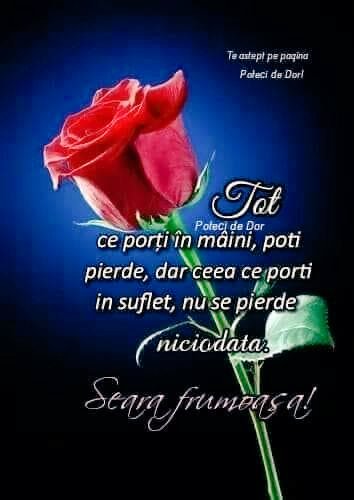 ionlucians's tweet photo. https://t.co/hiEbz4VPlF