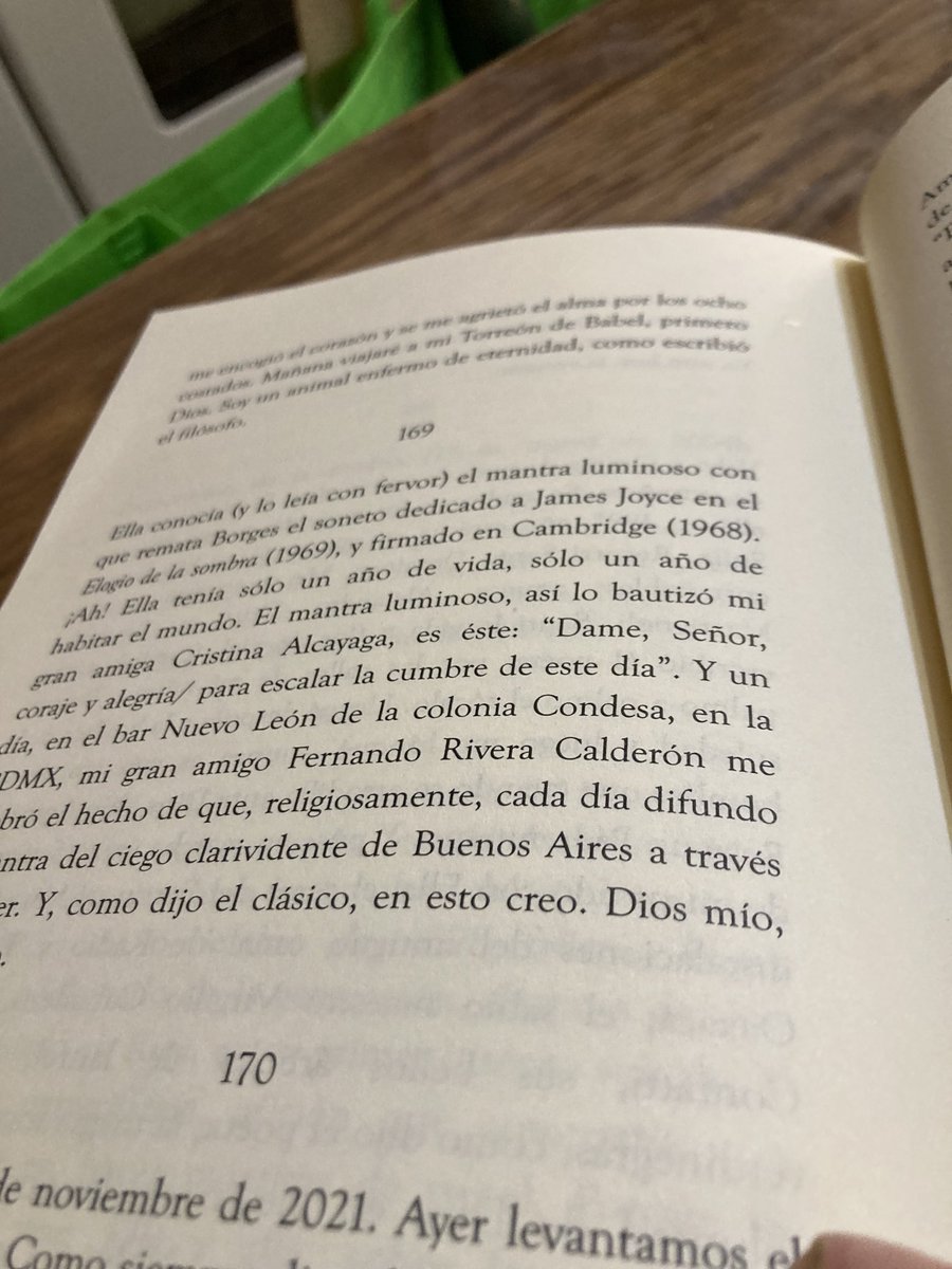 gilpg's tweet image. 