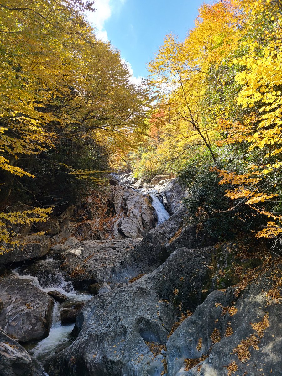 JNoran's tweet photo. Leaf peepin'. https://t.co/dzvreow0ct