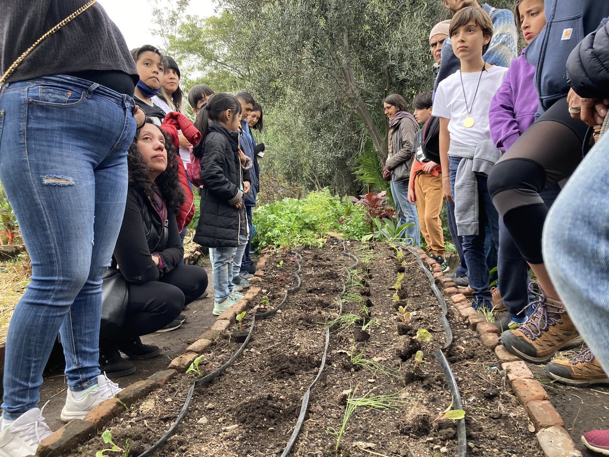 cultivaciudadMX's tweet photo. Fotos de la siembra colectiva que tuvimos en el Huerto Tlatelolco en el #CULTIVAFEST 🌱 ¡Gracias a todos y todas las sembradoras urbanas! https://t.co/cxfD3Ql4tL