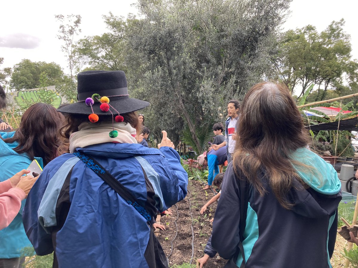 cultivaciudadMX's tweet photo. Fotos de la siembra colectiva que tuvimos en el Huerto Tlatelolco en el #CULTIVAFEST 🌱 ¡Gracias a todos y todas las sembradoras urbanas! https://t.co/cxfD3Ql4tL