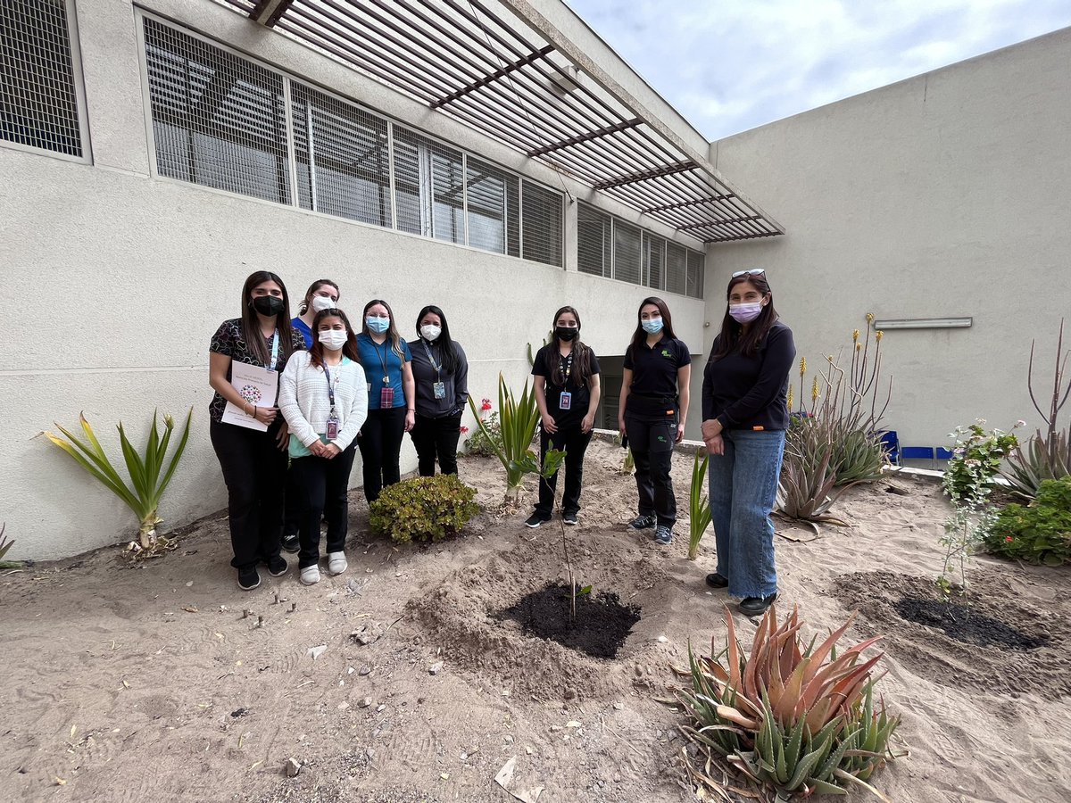 CONAF_Antofa's tweet photo. En el marco del #DíaMundialDeLaSaludMental  funcionarios del CESFAM Juan Pablo II de #Antofagasta, celebraron con una arborización junto a #CONAFAntofagasta 😊🌳 https://t.co/OscdSNJjgq