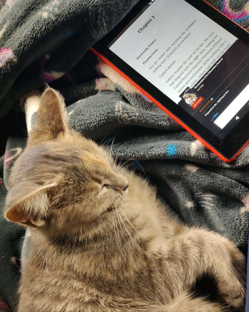 collyjen's tweet photo. Time to curl up with your fur baby and #read!
https://t.co/98VDqgZ1Un
#NewRelease #TheGuardian #BookTour #citiesbelow https://t.co/3Py3PvORNa
