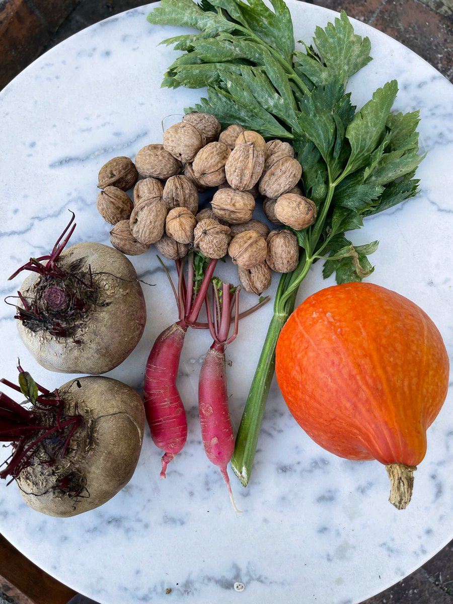 joukesp's tweet photo. #Homecoming #NeighbourlyLove #Pumpkin #Celery #RedBeet #LongRedRadish #Walnuts
How would you feel if you found this on your footstep when coming home? https://t.co/Q0wMtq9jJ3