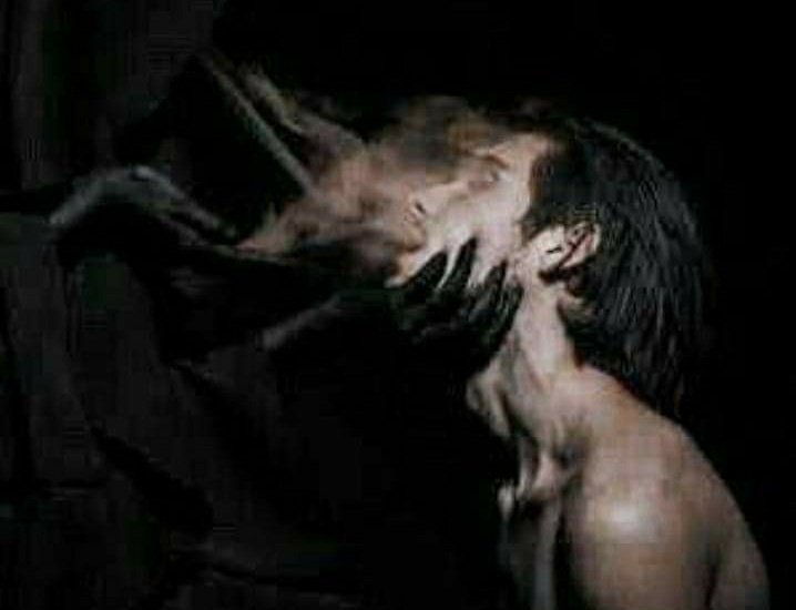 maldito_vacio's tweet image. "Hasta que no te sientas cómodo estando solo, nunca sabrás si estás eligiendo alguien por amor o por soledad"
《Sócrates》