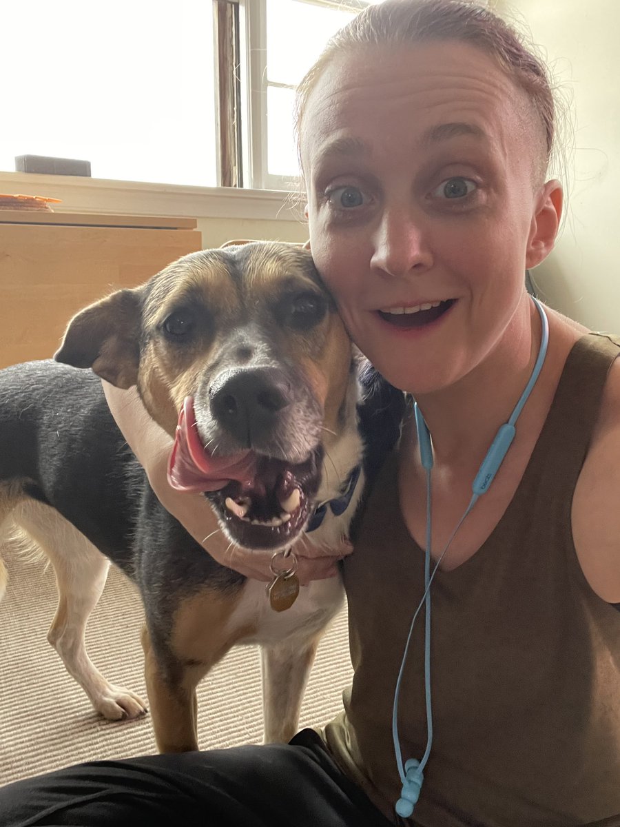 sierraboake's tweet photo. @Kheru Dog pics as requested! https://t.co/POIpZJYCxs