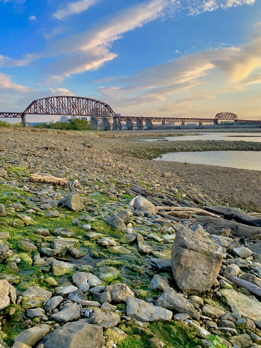 Happy #NationalFossilDay! Located just across the river in Clarksville, IN, the fossil beds at the @fallsoftheohio State Park contain a 390 million-year-old Silurian and Devonian coral community, and represent the world’s largest exposed Devonian Period fossil beds.