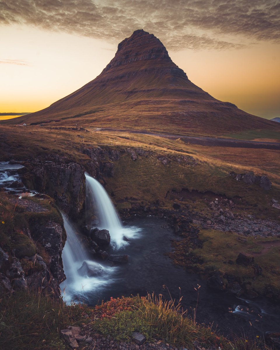 gonewithshaun tweet media