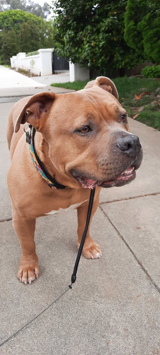 MarvinsHouse tweet media