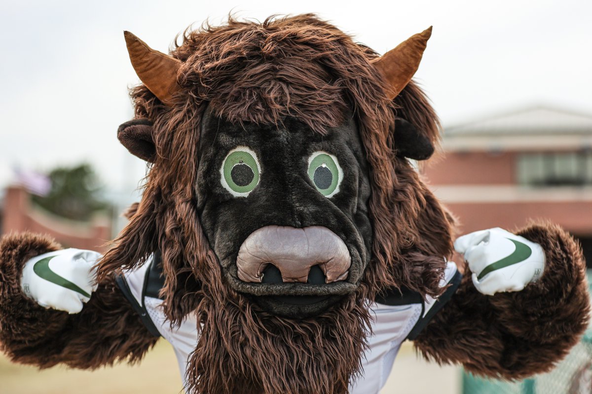 OBU Bison tweet media