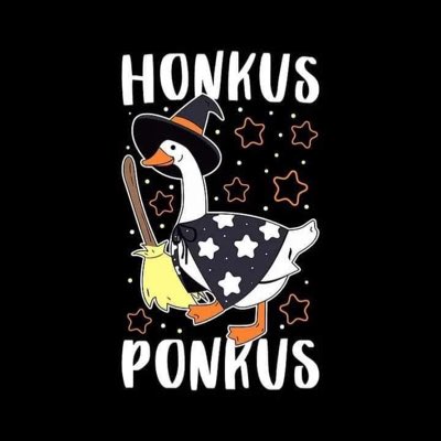 ProblemGoose tweet media