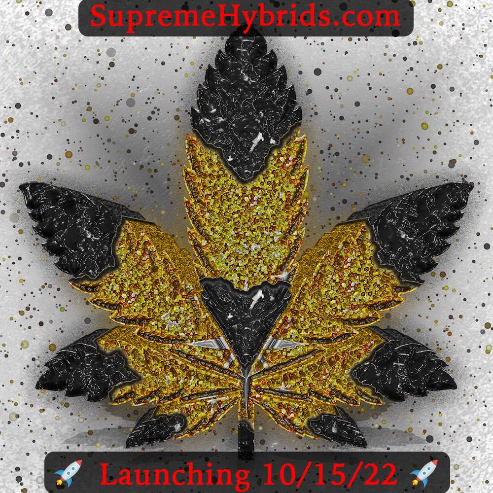 3️⃣ more days and we launch 🚀
Join us for all the great utilities and benefits. 💯

-

#NFT #NFTs #NFTart #nftcommunity #NFTcollector #NFTcollectors #NFTdrop