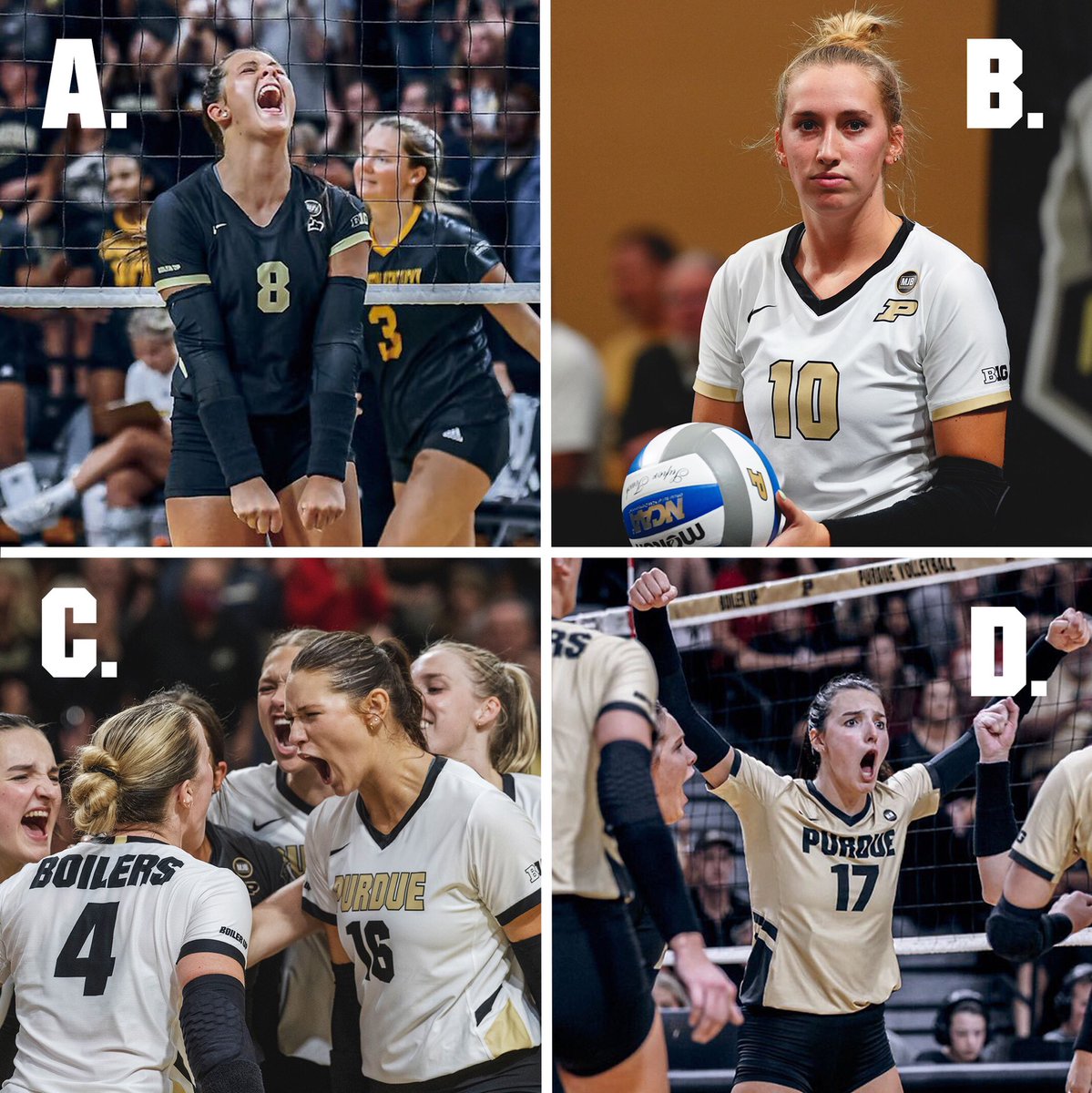Purdue Volleyball tweet media